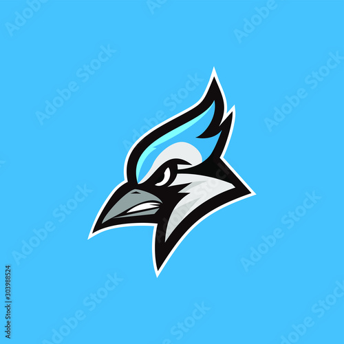 blue jay bird color head mascot logo icon designs vector illustration