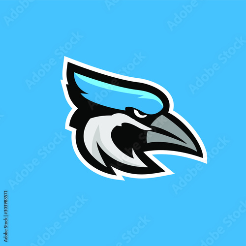 blue jay bird color head mascot logo icon designs vector illustration
