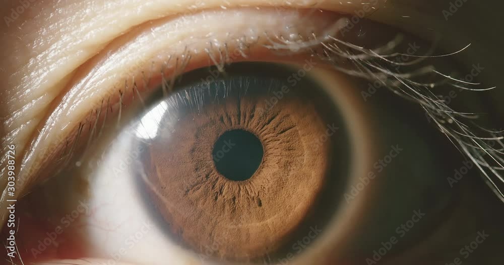 Macro shot of brown eye