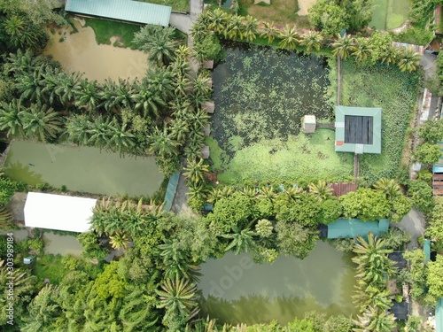 Aerial view of a lake or pond filled with crocodiles. Located in Jong’s Crocodile Farm of Kuching, Sarawak, Malaysia.