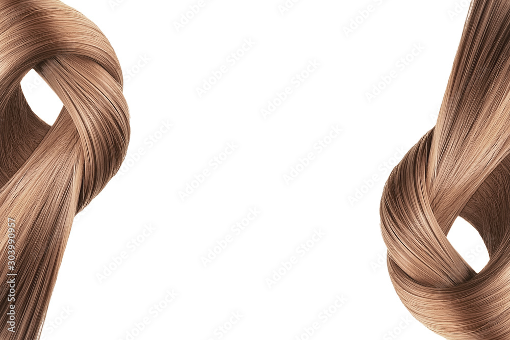 Brown hair tied in knot on white background, isolated. Copy space - obrazy, fototapety, plakaty 