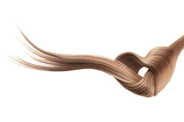 Brown hair knot in shape of heart, isolated on white background