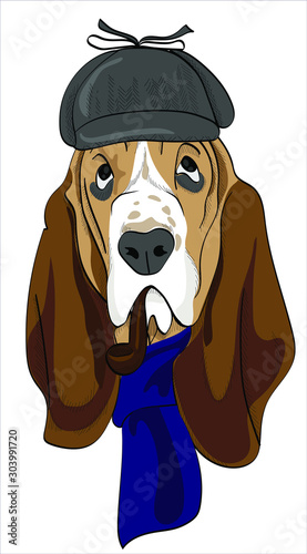 Dog detective in a hat, in a scarf and with a pipe. Poster, t-shirt composition, hand drawn style print.  Vector illustration.