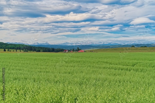 Red Barns in the Foothills