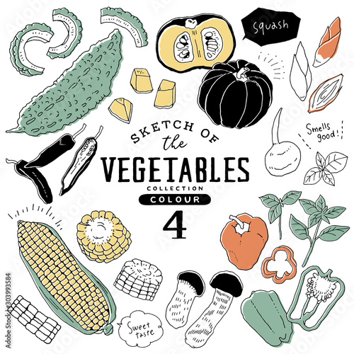 オシャレな手描き野菜セット04/カラフル