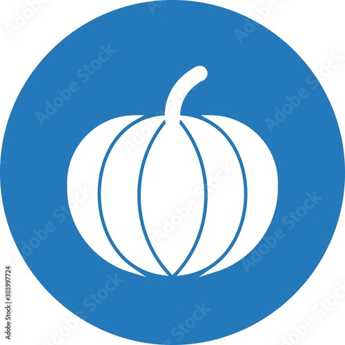 paprika icon isolated on abstract background