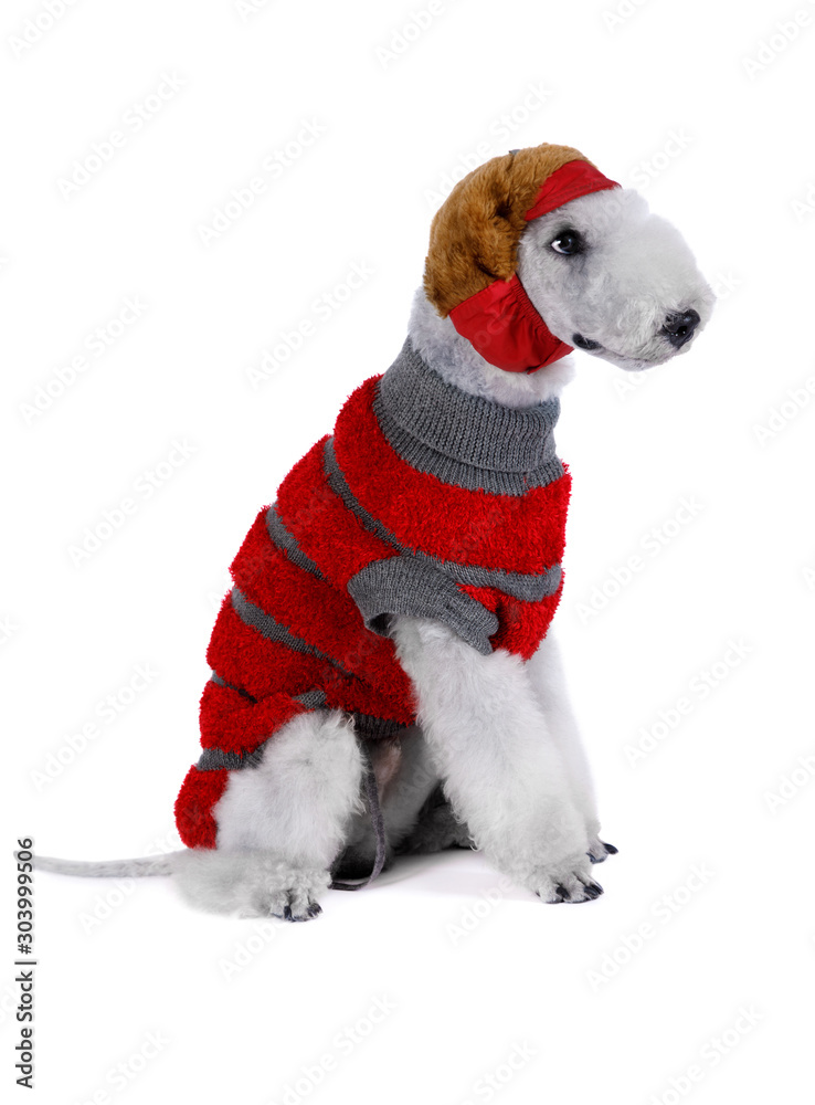 bedlington terrier stuffed animal