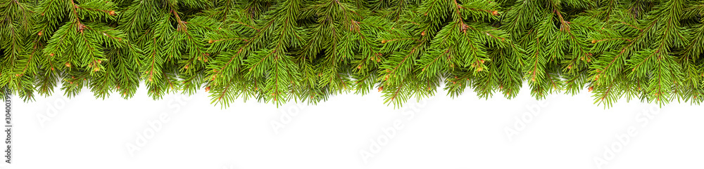Christmas tree branches on white background as a border or template for christmas card - obrazy, fototapety, plakaty 