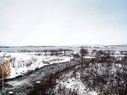 Tundra forest in beautiful snow photo