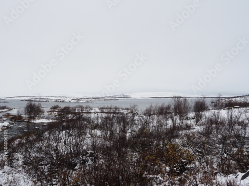 Tundra forest in beautiful snow