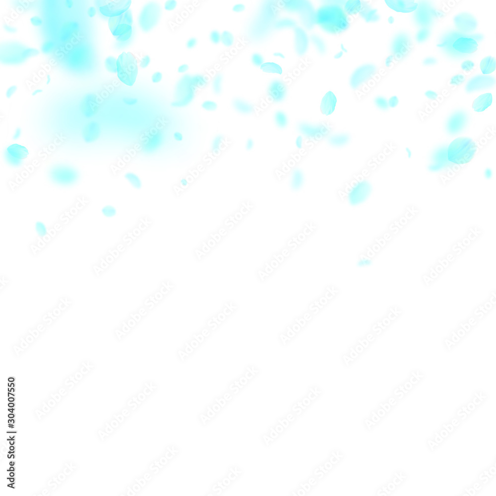 Turquoise flower petals falling down. Exceptional Turquoise flower petals falling down. Exceptional