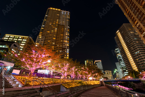 ピンク色に輝く目黒川のイルミネーション © picture cells