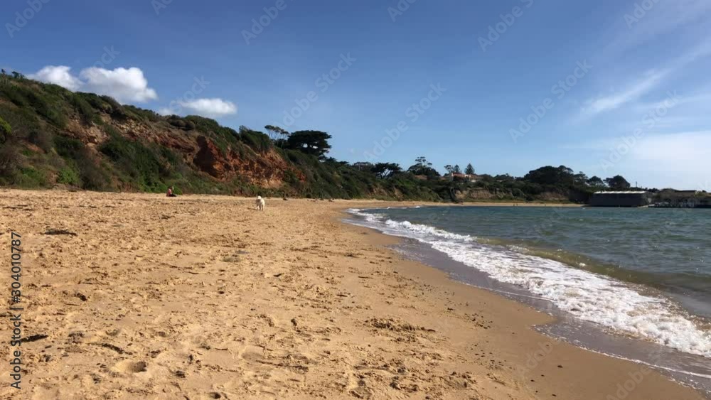 Woman with dog relaxing on picturesque beach, Victoria, Australia. Woman with dog relaxing on picturesque beach, Victoria, Australia.