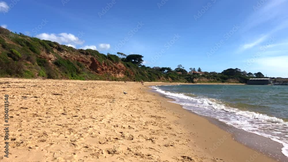 Woman with dog walking on picturesque beach, Victoria, Australia. Woman with dog walking on picturesque beach, Victoria, Australia.