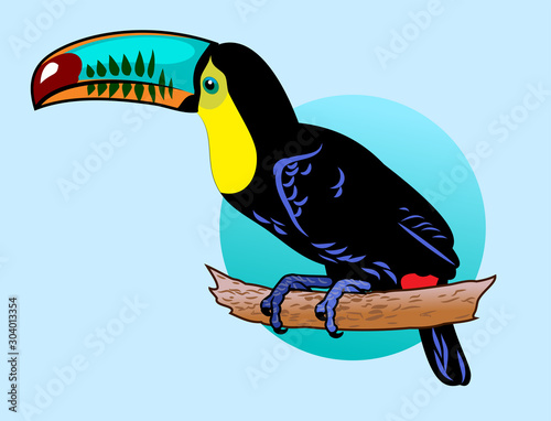The image of an exotic bird toucan