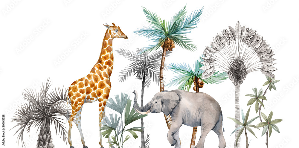 Fototapeta Watercolor safari animals with tropical palms composition. African giraffe, elephant.