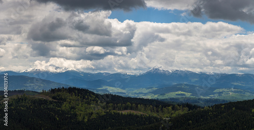 Carpathians mountain forest