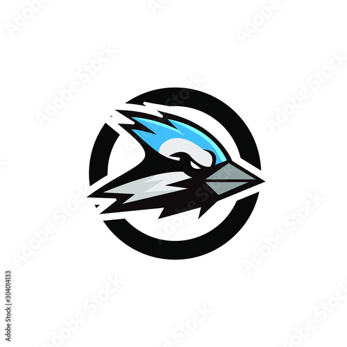 blue jay bird color head mascot logo icon designs vector illustration