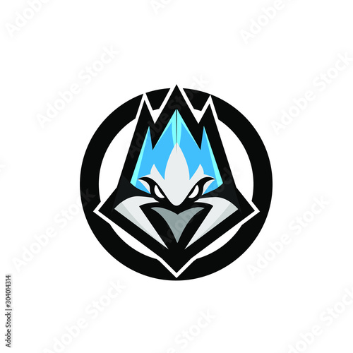 blue jay bird color head mascot logo icon designs vector illustration