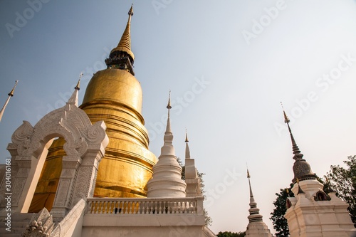 Wat Suan Dok temple, located in Chiang Mai Province, Thailand photo