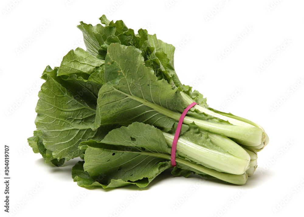Small Chinese cabbage on white background Small Chinese cabbage on white background