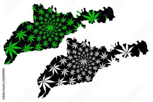 Chernivtsi Oblast (Administrative divisions of Ukraine, Oblasts of Ukraine) map is designed cannabis leaf green and black, Chernivtsi map made of marijuana (marihuana,THC) foliage....