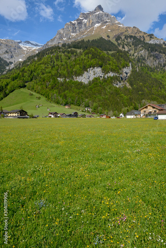 Rural landscape of Engelberg in the Swiss alps