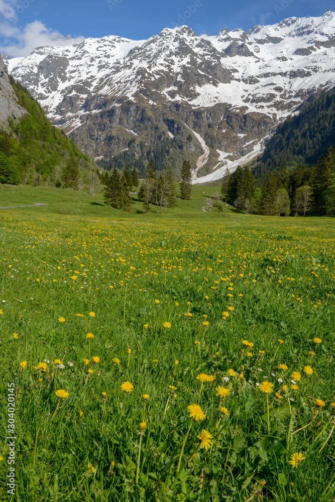 Rural landscape of Engelberg in the Swiss alps