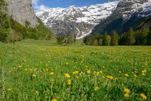 Rural landscape of Engelberg in the Swiss alps photo