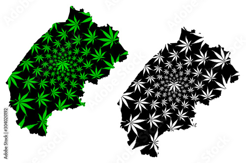 Lviv Oblast (Administrative divisions of Ukraine, Oblasts of Ukraine) map is designed cannabis leaf green and black, scribble sketch L’vivshchyna map made of marijuana (marihuana,THC) foliage....