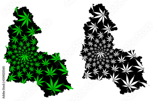 Sumy Oblast (Administrative divisions of Ukraine, Oblasts of Ukraine) map is designed cannabis leaf green and black, Sumshchyna map made of marijuana (marihuana,THC) foliage.. photo