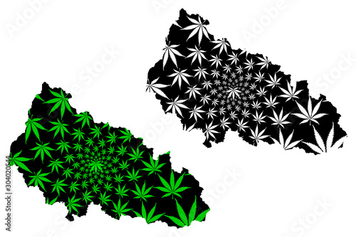 Zakarpattia Oblast (Administrative divisions of Ukraine, Oblasts of Ukraine) map is designed cannabis leaf green and black, Zakarpattia map made of marijuana (marihuana,THC) foliage.... photo