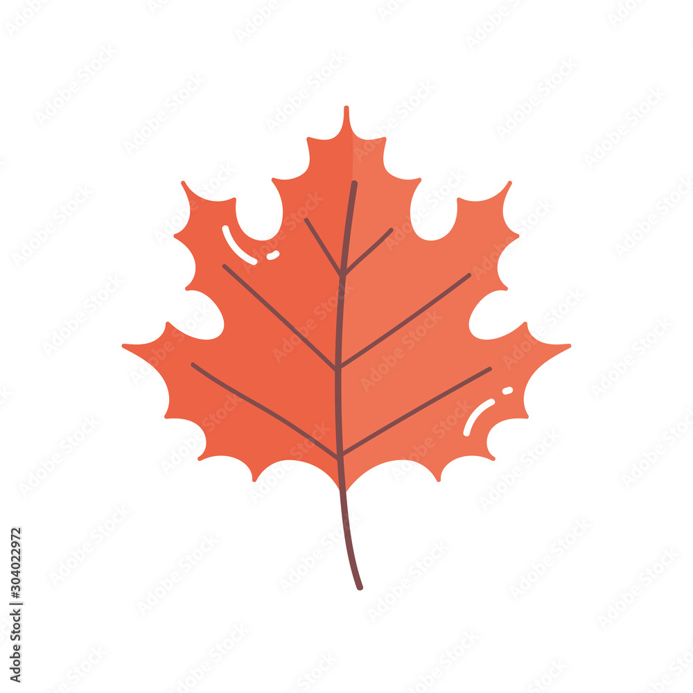 Fototapeta premium leaf foliage nature on white background