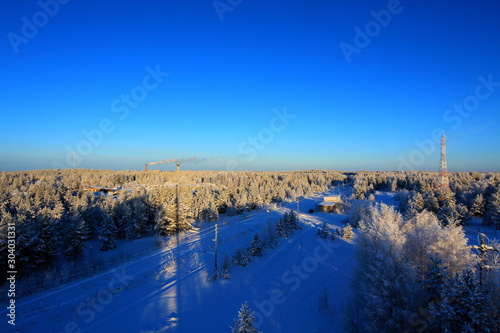 View of the winter forest from a height.