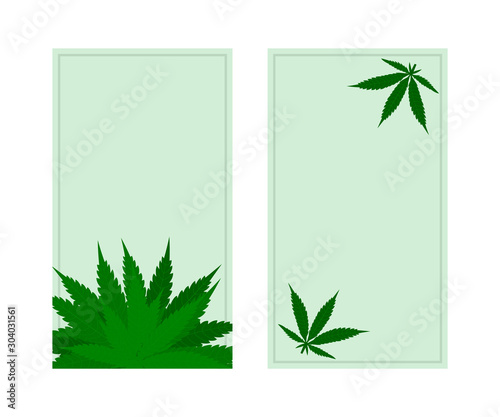 Banners with vector hemp illustration. Marketing poster with cannabis bush and leaves. Social media template.