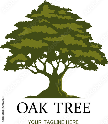 Green oak tree logo template on white background