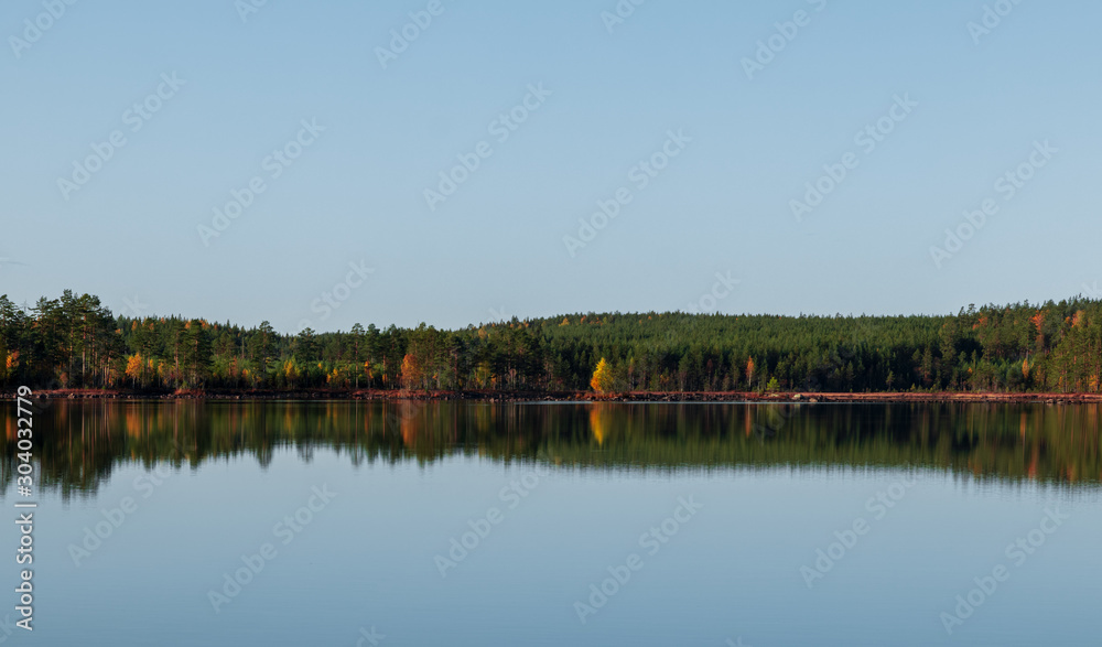 Autumn forest reflecting in a lake during a clear day. 