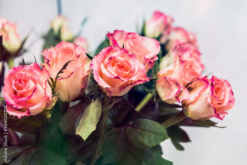 Bouquet of beautiful pink roses on a white background Bouquet of beautiful pink roses on a white background