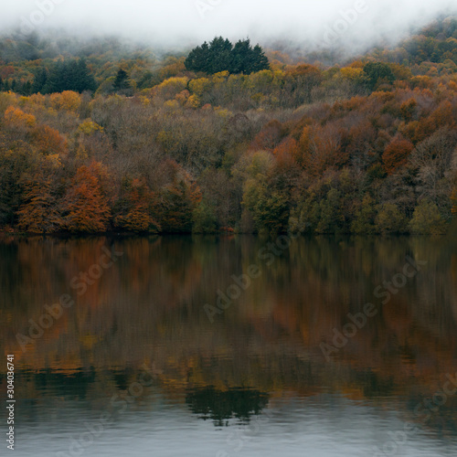 reflejo del bosque en el lago en otoño 