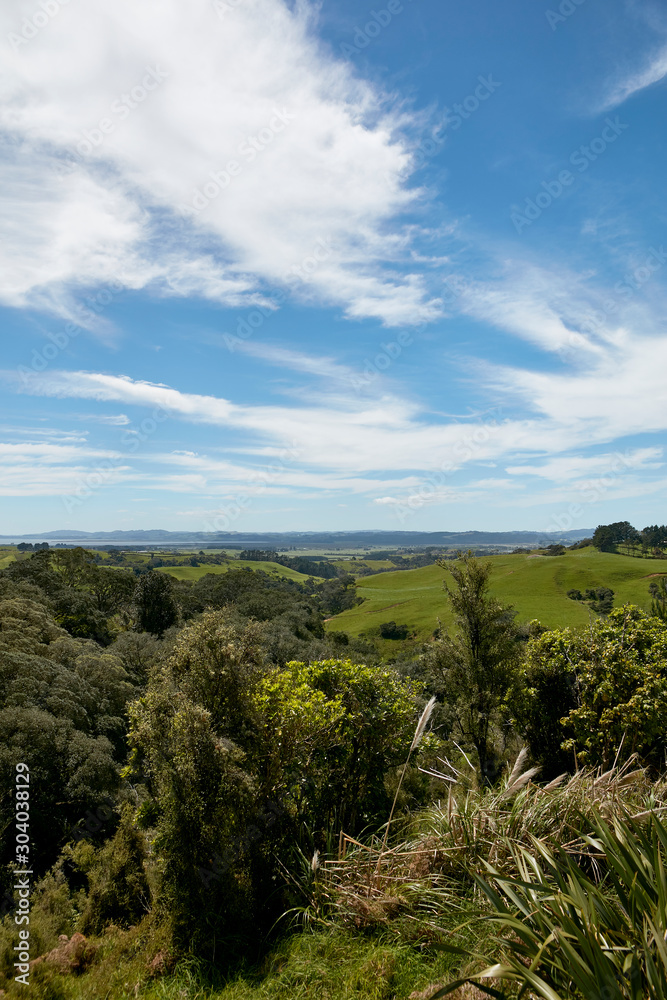 Bush views of countryside at Helensville, Auckland, New Zealand