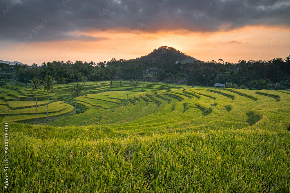 Rice Terrace Indonesia with Sunset Sky