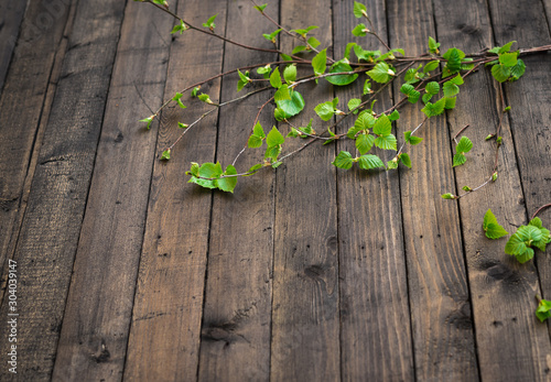 Spring Lilac Branches on Brown Rustic Table. Fresh Green Lilac Leaves Background. Copy Space