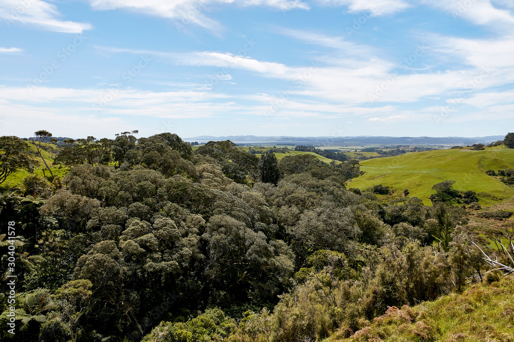 Obraz premium Bush views of countryside at Helensville, Auckland, New Zealand
