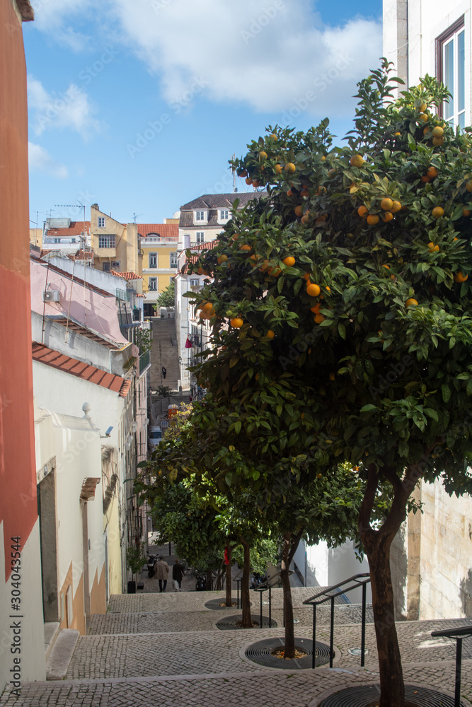 Lissabon Straße mit Orangenbäumen