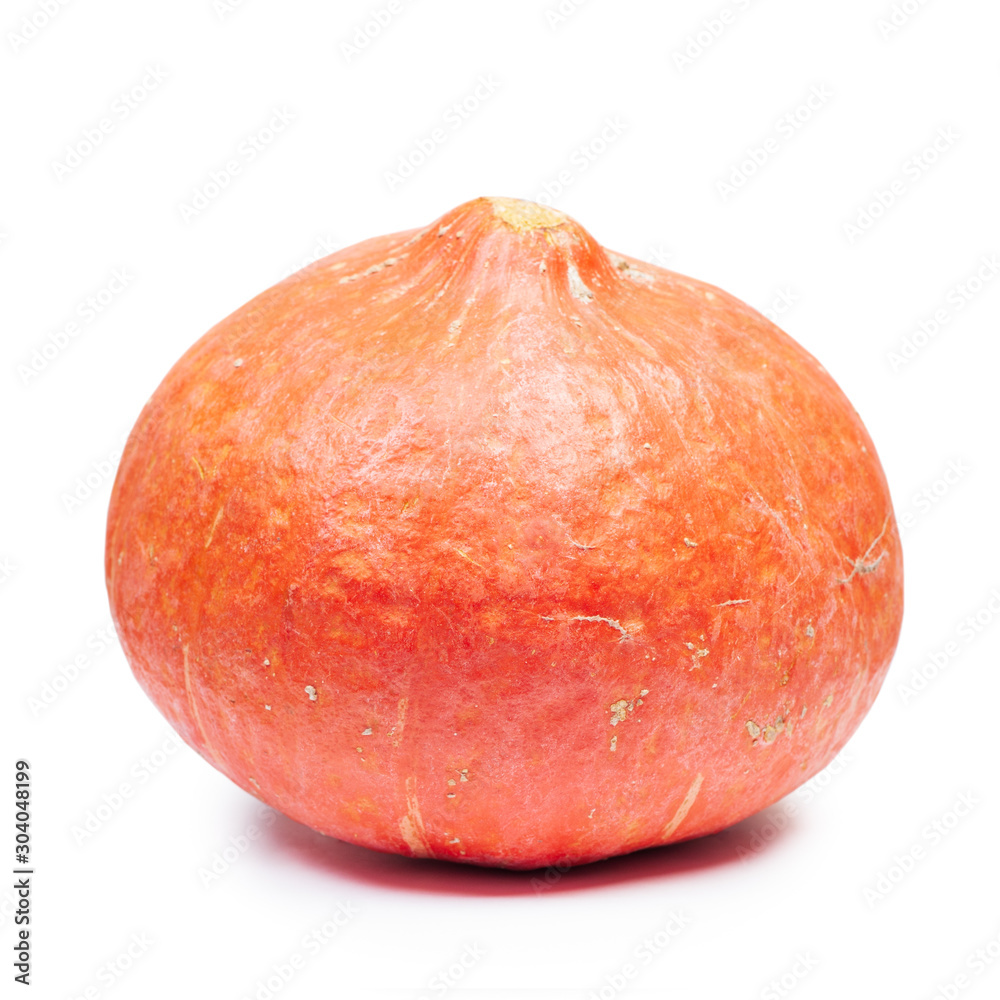 Fototapeta premium One pumpkin isolated