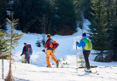 Ski group doing touring at winter mountains on a sunny day against forest background. Ski season and winter sports concept