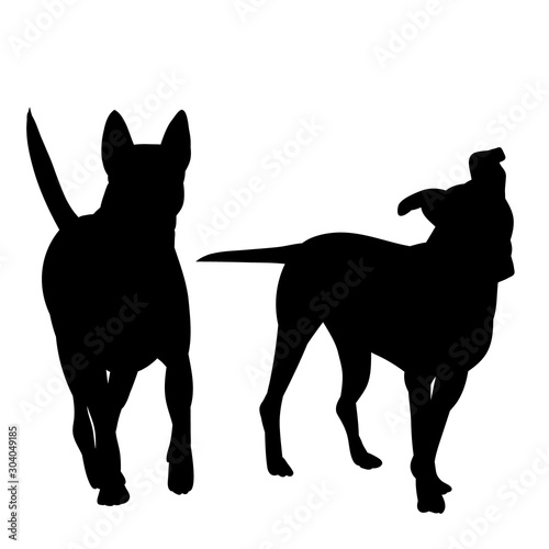 vector, on a white background, black silhouette of a dog walking