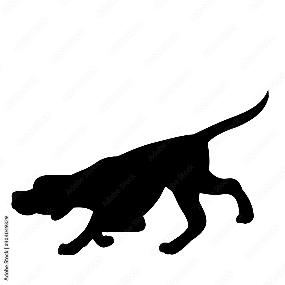 vector, on a white background, black silhouette of a walking dog