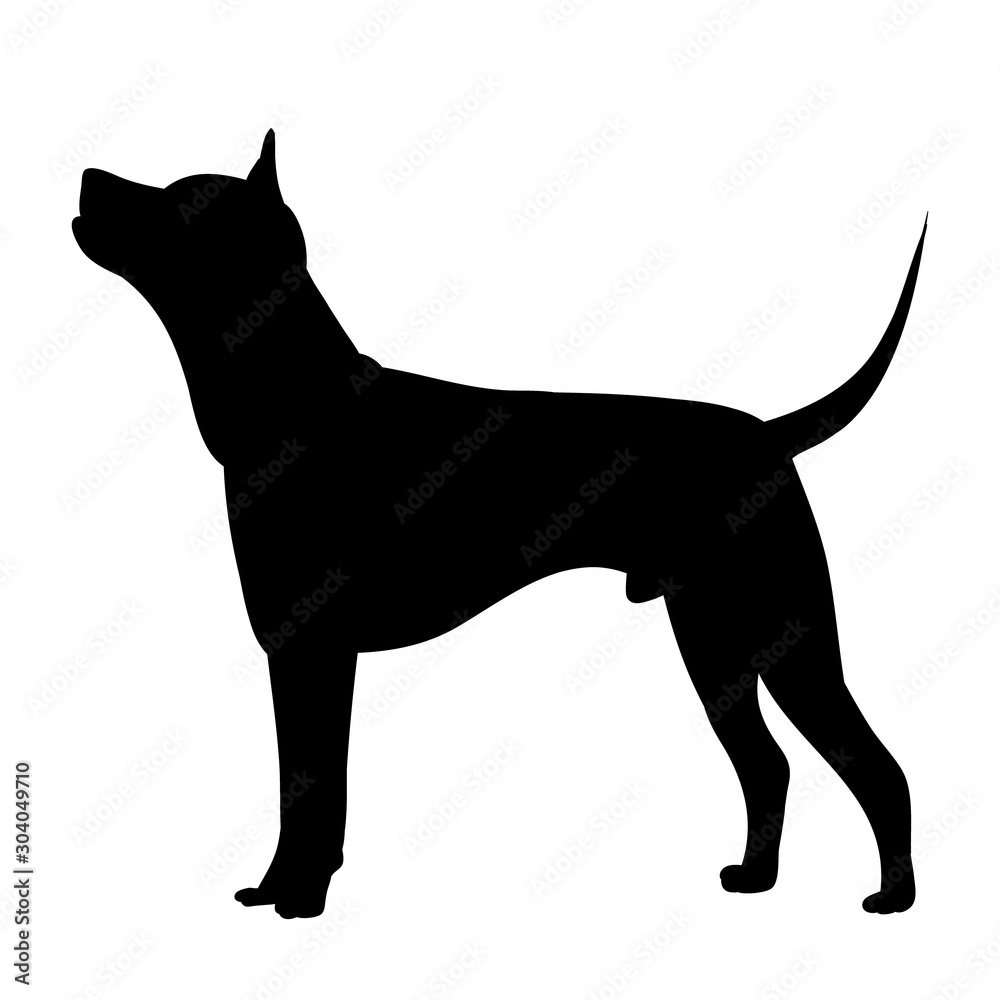 vector, on a white background, black silhouette of a standing dog