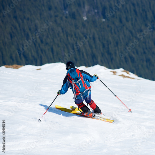 Back view of skier in bright clothing with backpack riding skis in deep white snow on background of green spruce trees. Winter holidays, traveling and mountaineering, active lifestyle concept.